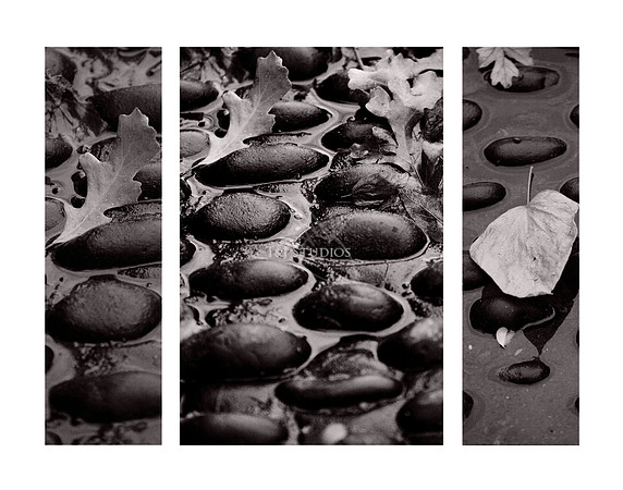 Fine Art Photography Wichita