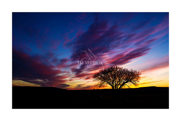 Fine Art Photography Wichita
