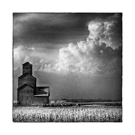 GrainBin 12x12