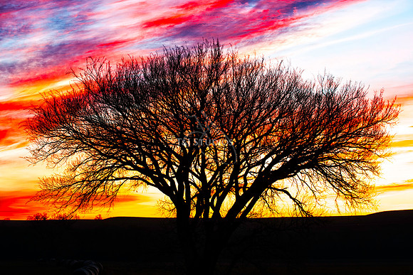 Kansas Sunrise 1