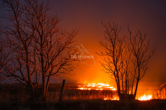 Night Fire