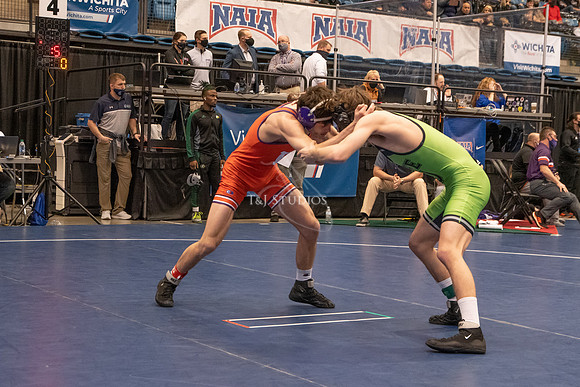 NAIA-00036