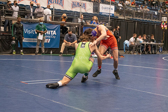 NAIA-00038
