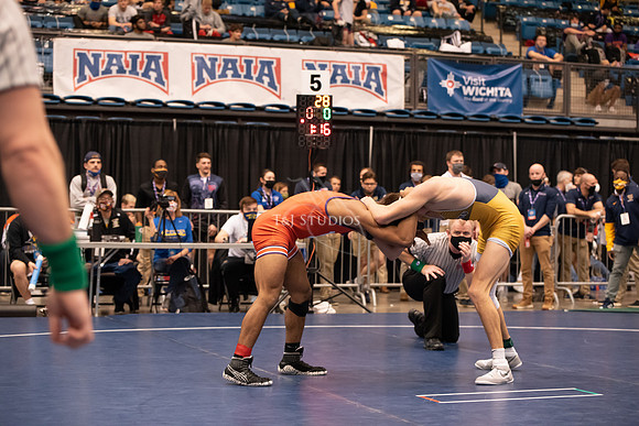 NAIA-00354
