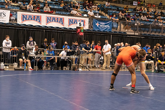 NAIA-00361