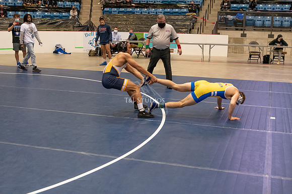 NAIA-00568