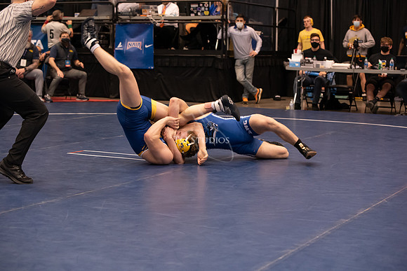 NAIA-00844