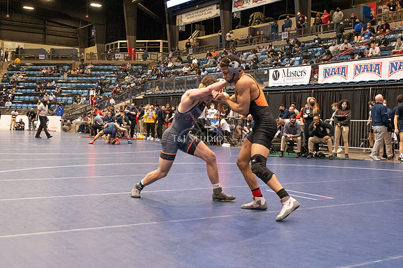 NAIA-00873