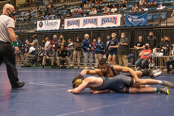 NAIA-00892