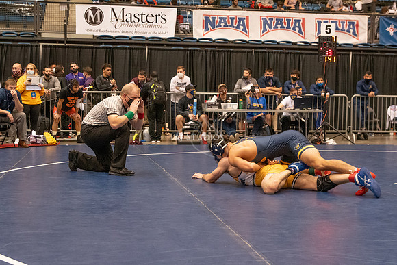 NAIA-00929