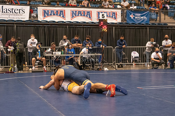 NAIA-00932