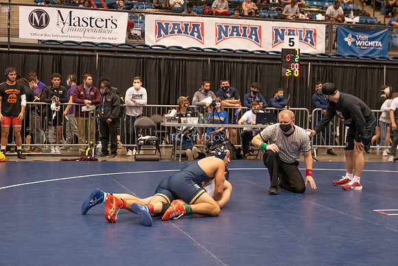NAIA-00951