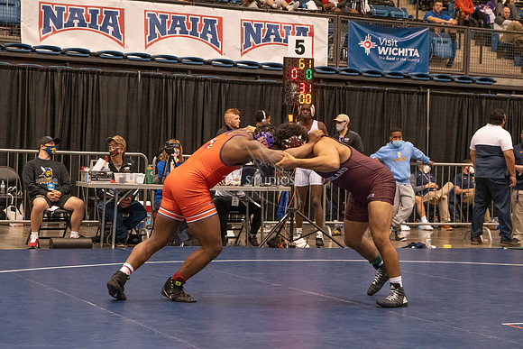 NAIA-01209