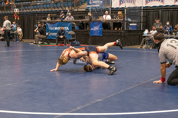 NAIA-01216