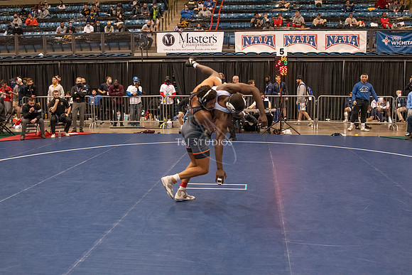 NAIA-01334