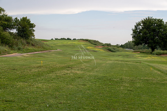 CH-0775