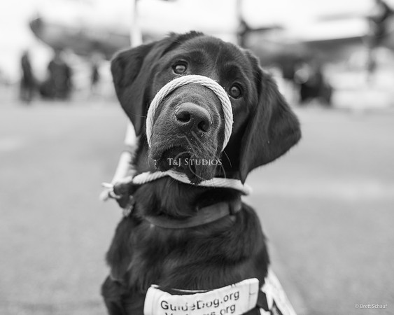 DSC_2596