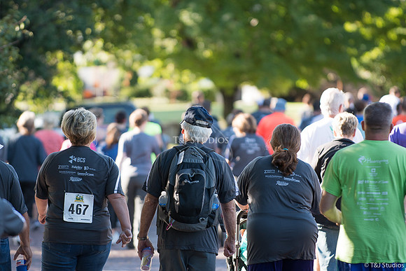 TJ9_5828