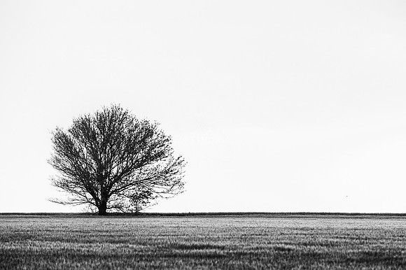 TJ4_3679 bw 10x15